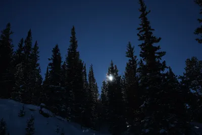 DSC_4981 (Large).JPG